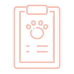 Certificado de viaje