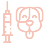 Vacunación preventiva